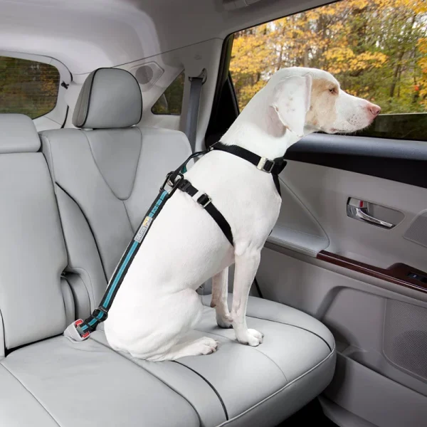 boutique en ligne Attache Directe Pour Ceinture De Sécurité (Direct To SeatBelt Tether) 4
