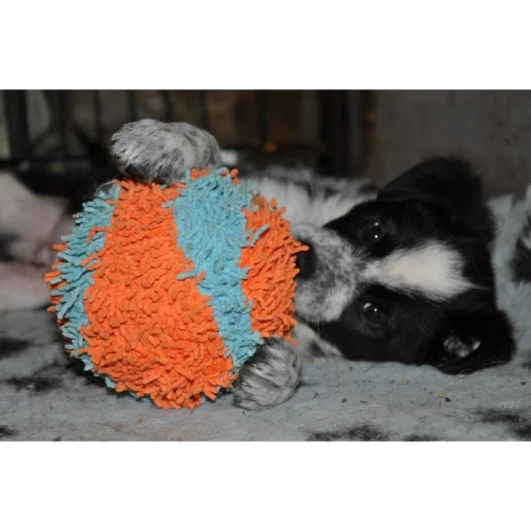 Balle Soft (Chuckit! Indoor Ball) à prix réduits 3