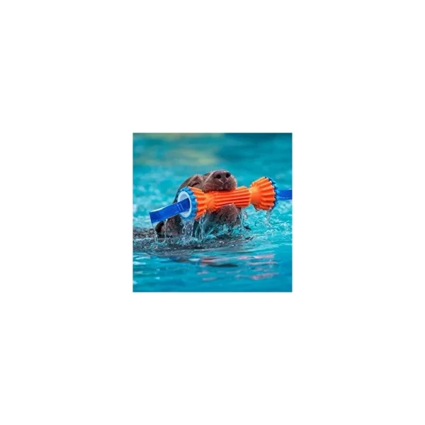 outlet Boudin Renforcé Chuckit! 2 Tailles (Rugged Bumper) 7