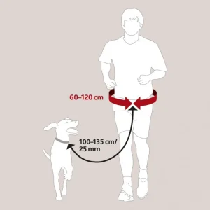 Ceinture Mains Libres – Laisse Extensible – De 60 à 120 Cm Tour De Hanche site pas cher 9