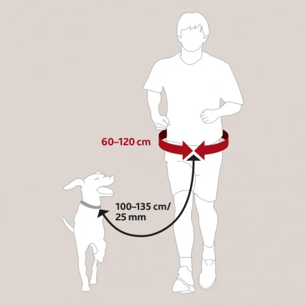 Ceinture Mains Libres – Laisse Extensible – De 60 à 120 Cm Tour De Hanche site pas cher 4
