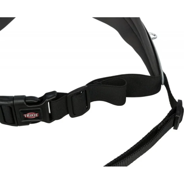 Large choix en ligne Ceinture Ventrale Avec Laisse (Coloris Noir / 70-120 Cm) 8