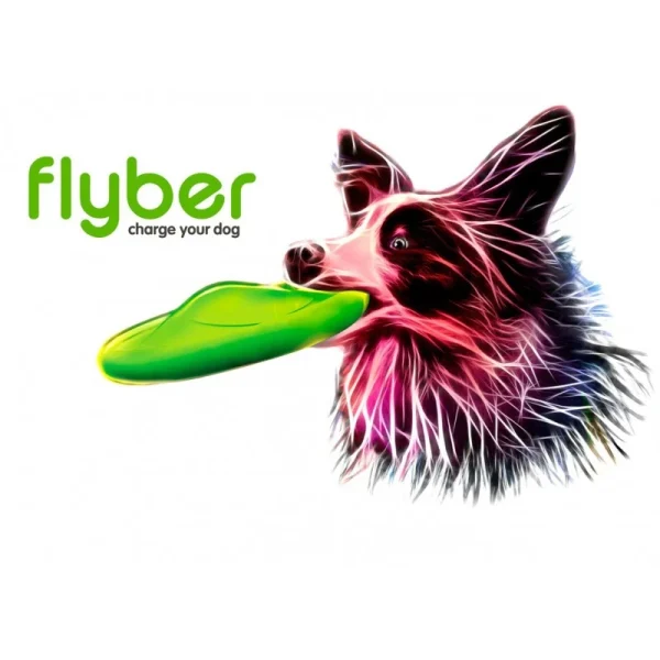 Flyber (Disque Double Face) achat pas cher 7