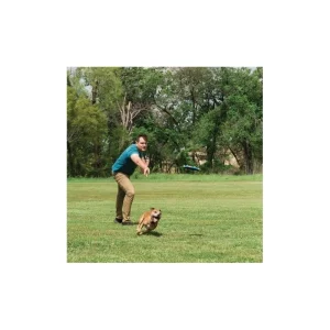 Frisbee Sifflant (Chuckit! Whistle Flight) Prestation Et Rapide 18