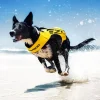 Nouvelle Collection Gilet De Sauvetage DFD X2 “Boost” EzyDog – 5 Tailles 7