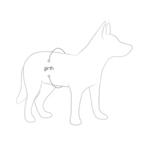 REMISE allant Gilet De Sauvetage Et De Flottaison EzyDog Micro DFD Pour Petits Chiens (2 Tailles) 15
