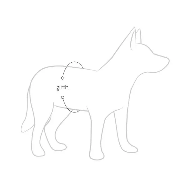 REMISE allant Gilet De Sauvetage Et De Flottaison EzyDog Micro DFD Pour Petits Chiens (2 Tailles) 6