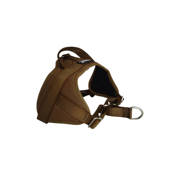 Réductions Harnais Animalin® AUTOMNE – Noisette (6 Tailles) 4