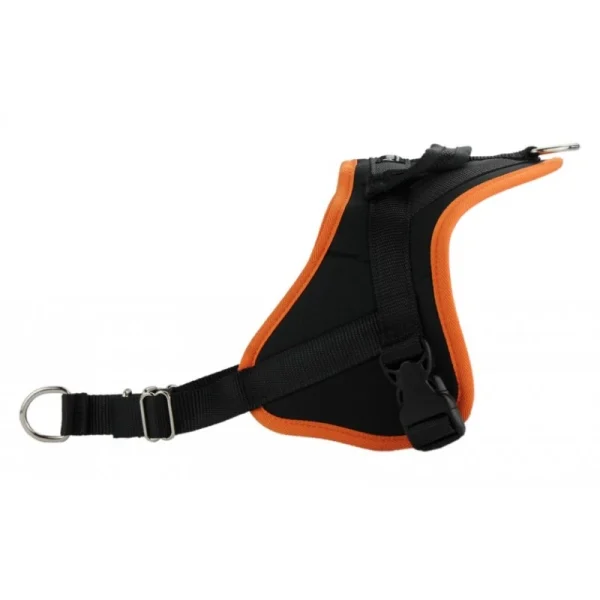 Harnais Animalin® CLASSIC Orange (7 Tailles) grande surprise 1