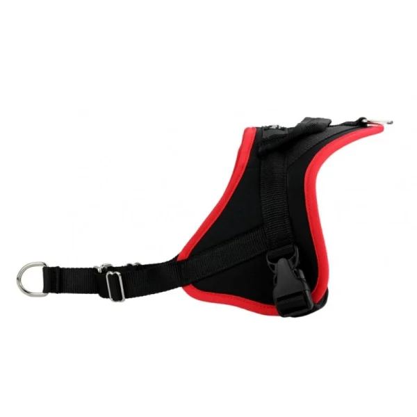 Harnais Animalin® CLASSIC Rouge (7 Tailles) Nouvelle Collection 1