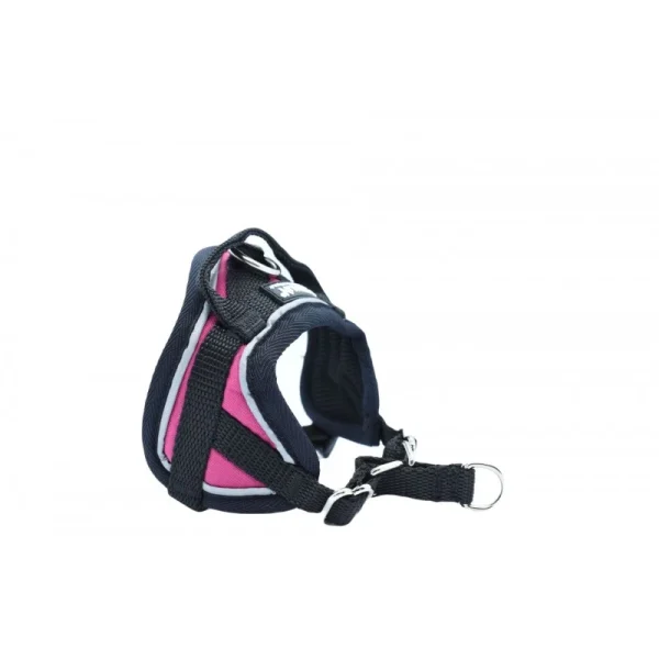 Harnais Animalin® REFLEX Fuchsia (7 Tailles) bas prix 1