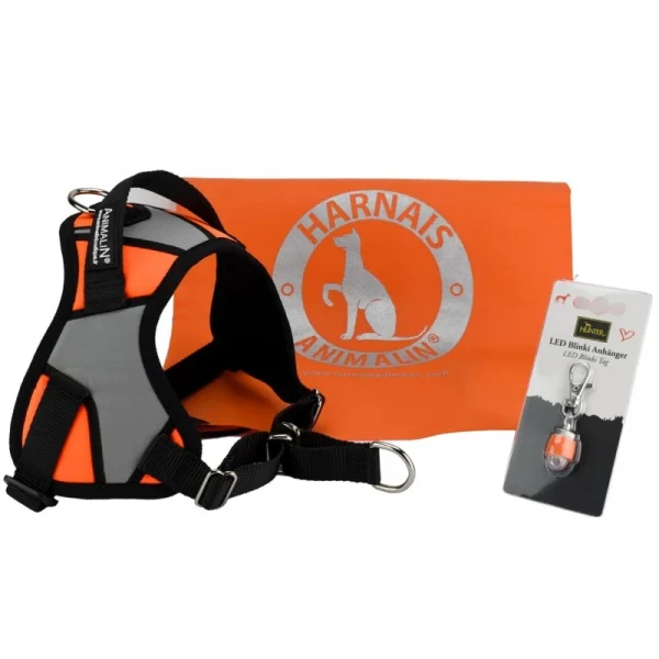 Harnais Animalin® REFLEX PLUS Orange Fluo (5 Tailles) + Lampe Offerte Prestation Et Rapide 3