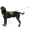 france Promo -10% Harnais De Pistage Et Mantrailing Julius-K9® – Noir (4 Tailles) 10