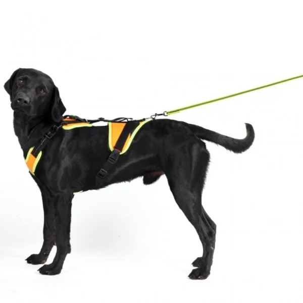 france Promo -10% Harnais De Pistage Et Mantrailing Julius-K9® – Noir (4 Tailles) 1