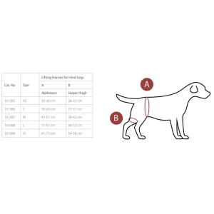 à prix imbattables Promo -15% Harnais De Soutien Et De Réhabilitation – 4 Tailles Et 2 Modèles (Pattes Avant Et Arrière) 6