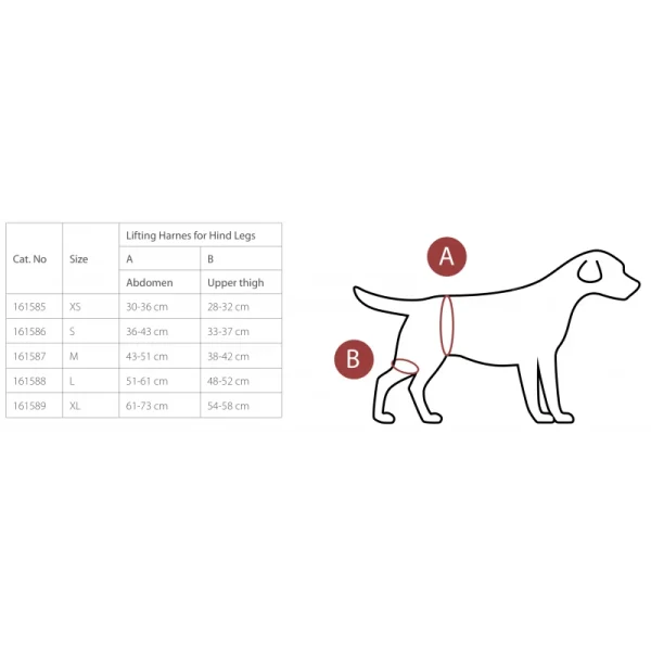 à prix imbattables Promo -15% Harnais De Soutien Et De Réhabilitation – 4 Tailles Et 2 Modèles (Pattes Avant Et Arrière) 3