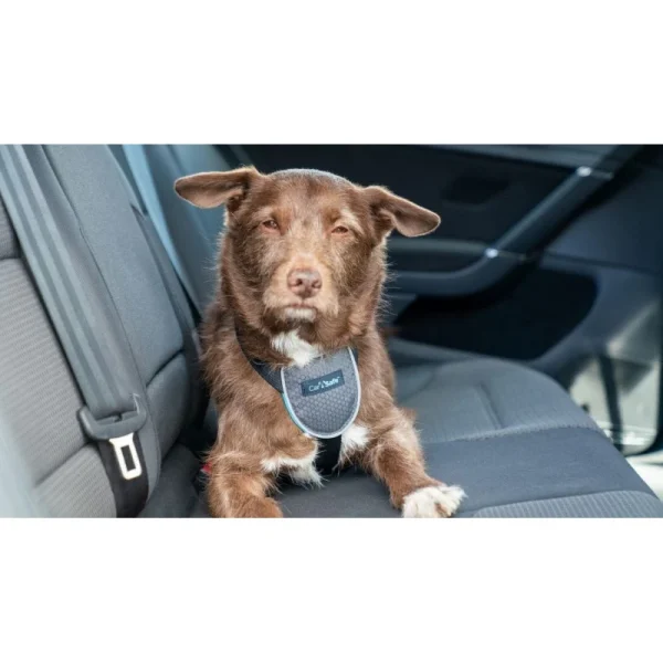 vente en ligne Harnais De Voyage Pour Voiture (CarSafe Dog Travel Harness) 3 Tailles 5