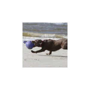 achat Jolly Ball Pour Chevaux Et Chiens (Diamètre 20 Cm) 7