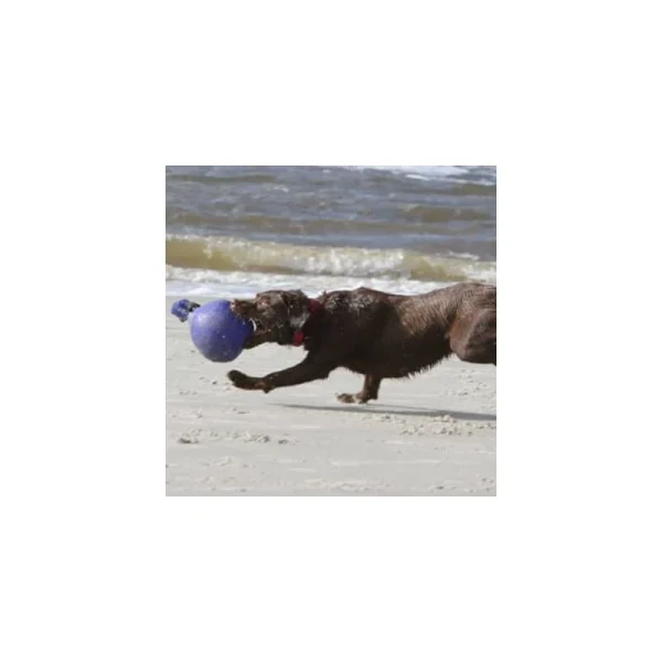 achat Jolly Ball Pour Chevaux Et Chiens (Diamètre 20 Cm) 3
