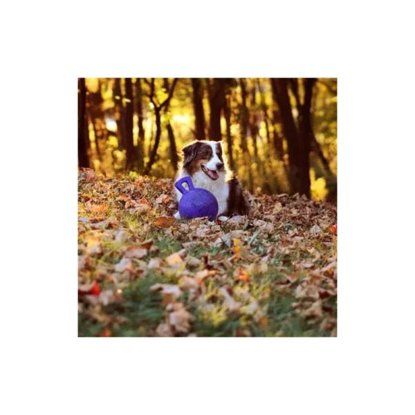 achat Jolly Ball Pour Chevaux Et Chiens (Diamètre 20 Cm) 4