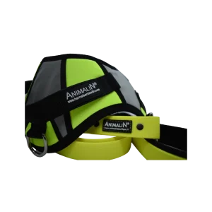 -5% Kit Harnais Animalin® REFLEX PLUS Jaune + Laisse Fluo Plate 120 Cm + Lampe en vente 8