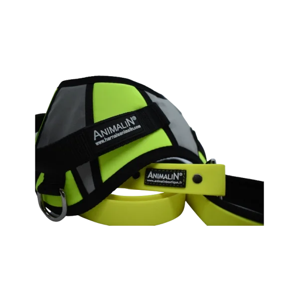 -5% Kit Harnais Animalin® REFLEX PLUS Jaune + Laisse Fluo Plate 120 Cm + Lampe en vente 3