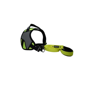 -5% Kit Harnais Animalin® REFLEX PLUS Jaune + Laisse Fluo Plate 120 Cm + Lampe en vente 10