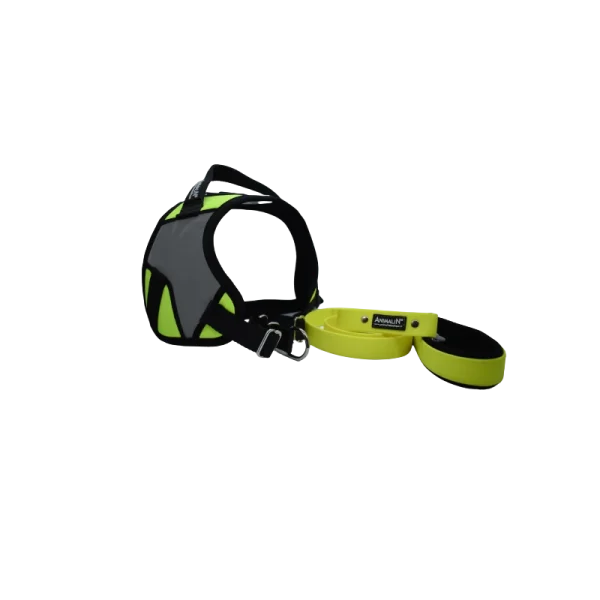 -5% Kit Harnais Animalin® REFLEX PLUS Jaune + Laisse Fluo Plate 120 Cm + Lampe en vente 4