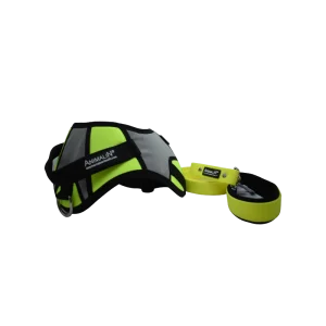 -5% Kit Harnais Animalin® REFLEX PLUS Jaune + Laisse Fluo Plate 120 Cm + Lampe en vente 12