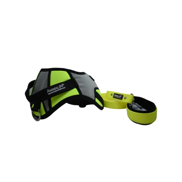-5% Kit Harnais Animalin® REFLEX PLUS Jaune + Laisse Fluo Plate 120 Cm + Lampe en vente 5