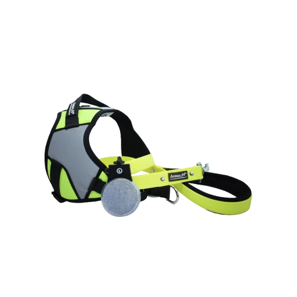 -5% Kit Harnais Animalin® REFLEX PLUS Jaune + Laisse Fluo Plate 120 Cm + Lampe en vente 1