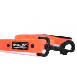 mode Laisse Animalin® Fluo 150 Cm – 2 Larg./2 Couleurs – Mousq. Noir 10