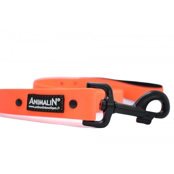 mode Laisse Animalin® Fluo 150 Cm – 2 Larg./2 Couleurs – Mousq. Noir 4