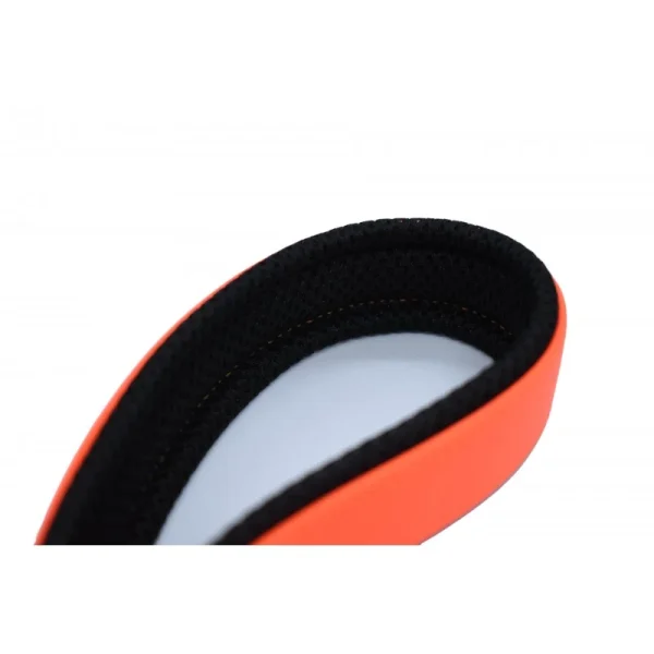 mode Laisse Animalin® Fluo 150 Cm – 2 Larg./2 Couleurs – Mousq. Noir 5