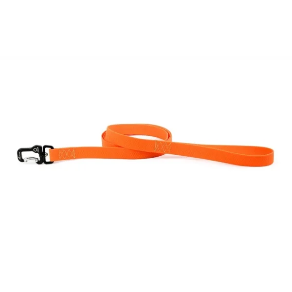 Livraison internationale Laisse Collar Evolutor (3 Longueurs / 2 Couleurs) 7