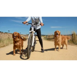 Laisse De Vélo Universelle Pour Chiens – Technologie Antichocs, Design, Sécurité (Shock-Less Bicycle Leash) soldes de Noël 12