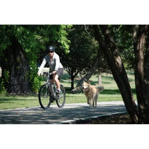 Laisse De Vélo Universelle Pour Chiens – Technologie Antichocs, Design, Sécurité (Shock-Less Bicycle Leash) soldes de Noël 16