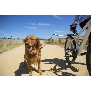 Laisse De Vélo Universelle Pour Chiens – Technologie Antichocs, Design, Sécurité (Shock-Less Bicycle Leash) soldes de Noël 20