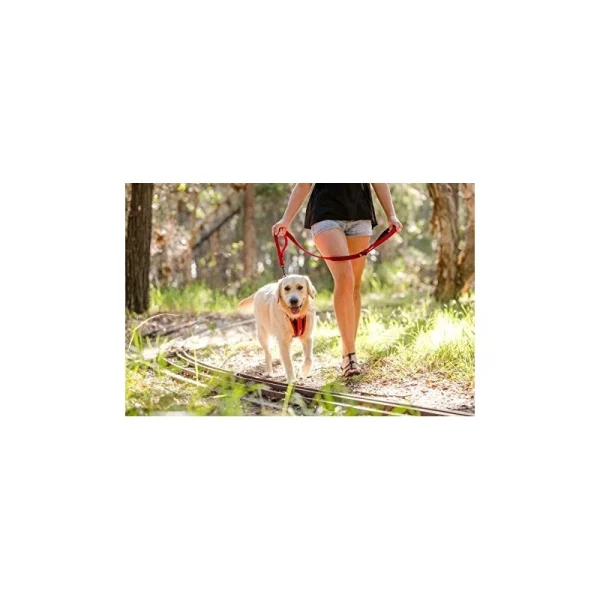 Laisse EzyDog 115 Cm “Zero Shock” Protections acheteurs 3
