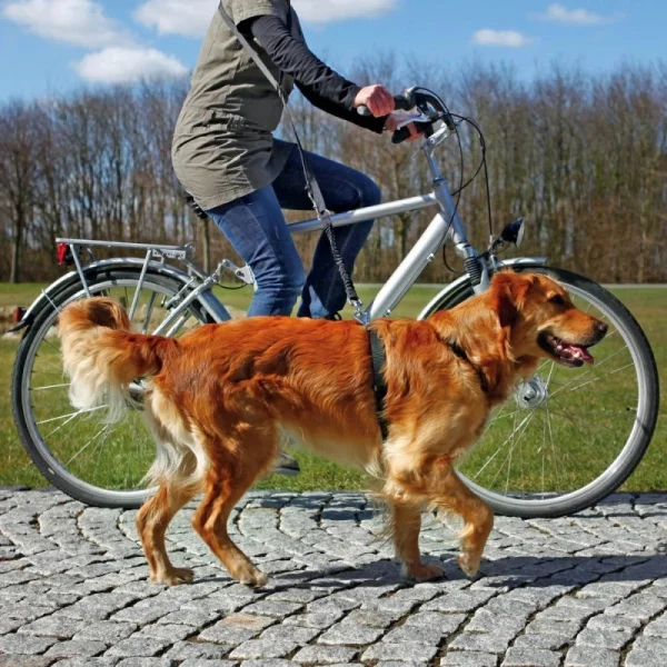 Laisse Réglable Vélo & Jogging – Larg. 25 Mm – De 1 à 2 Mètres online boutique 1