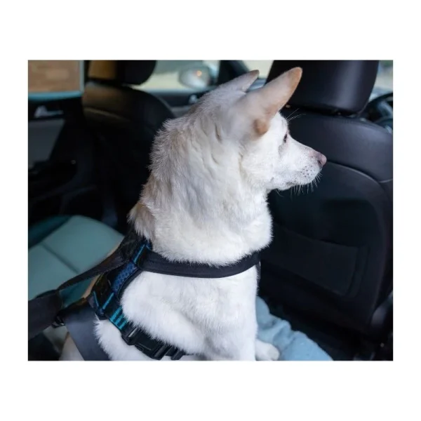 Promotio de vente Nouveau Harnais De Sécurité Auto (CarSafe Crash Tested Harness) 2 Tailles 5