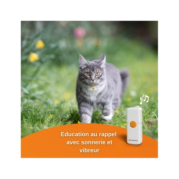 Traceur GPS Weenect Pour Chats Promotio de vente 5