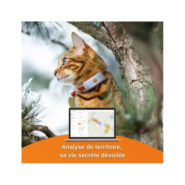Traceur GPS Weenect Pour Chats Promotio de vente 6