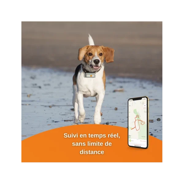 Traceur GPS Weenect Pour Chiens des prix incroyables 4