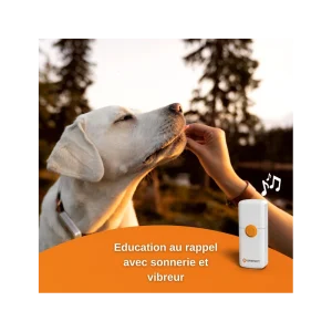 Traceur GPS Weenect Pour Chiens des prix incroyables 15