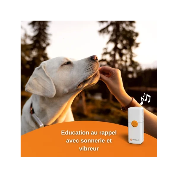 Traceur GPS Weenect Pour Chiens des prix incroyables 5