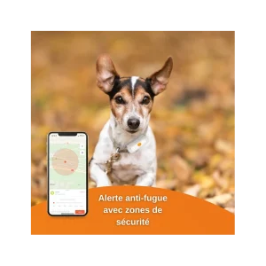Traceur GPS Weenect Pour Chiens des prix incroyables 17