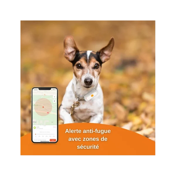 Traceur GPS Weenect Pour Chiens des prix incroyables 6