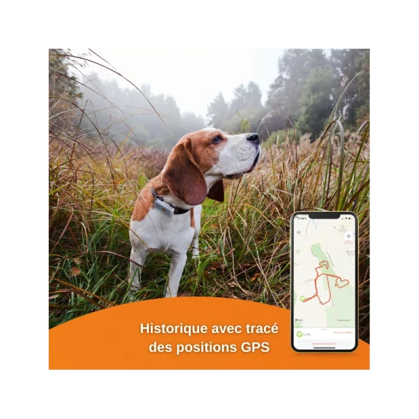 Traceur GPS Weenect Pour Chiens des prix incroyables 8