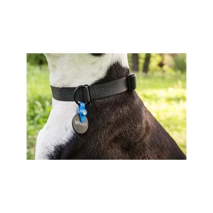 Porte-Médaille Silencieux (FreezeTag Holder) Distributeur Officiel 11
